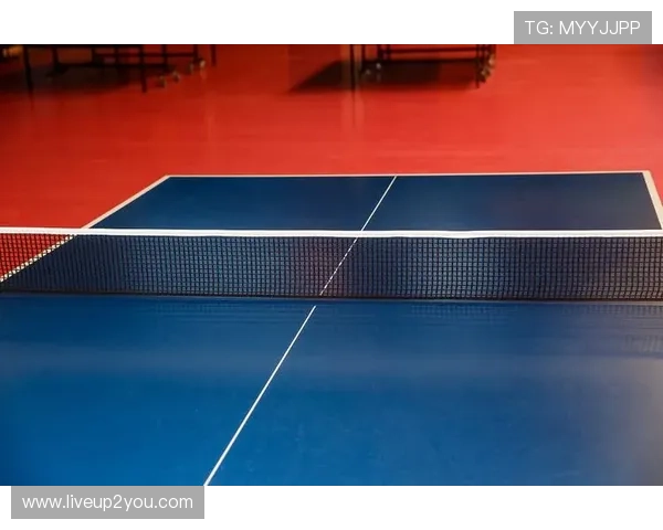 体育网娱乐用户粘性提升，B体育网打造优质内容生态圈