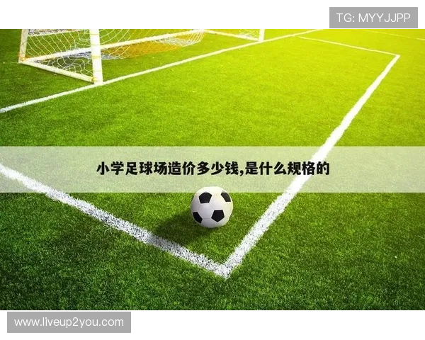 B体育官方首页为用户提供一站式体育资讯、赛事直播与互动平台
