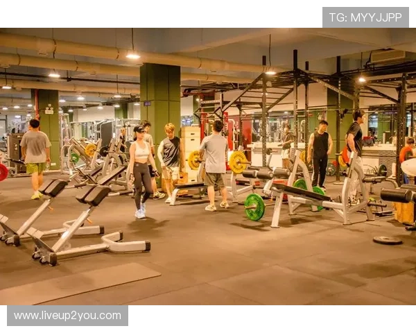 风云体育娱乐官网全面覆盖足球篮球等热门体育项目，丰富赛事内容满足不同用户需求